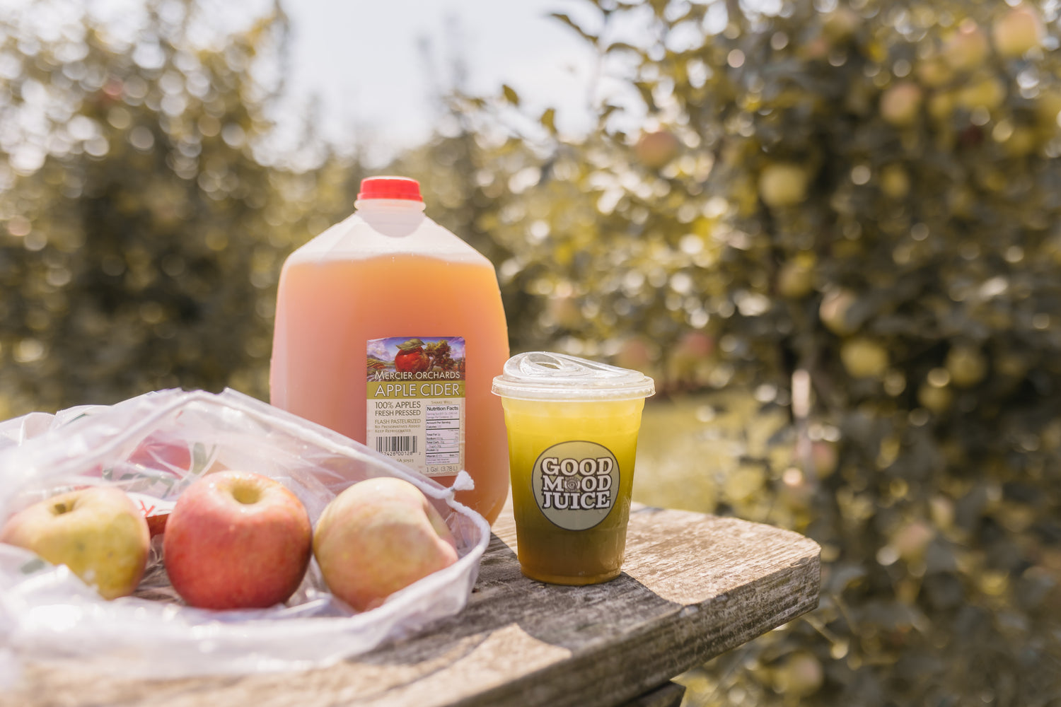 Mercier Orchards Apple Cider & Bag of Apples